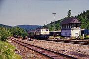 216 211 - 1989-72-061 Brilon Wald