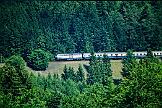 216 223 - 1988-63-047 Willingen