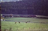 218 000 - 1988-68-017 Brilon