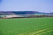 218 143 - 1988-56-043 Wickede Echthausen