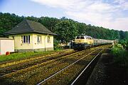 218 149 - 1988-61-045 Arnsberg Voßwinkel