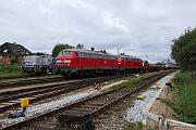 218 366 - 2023-07-19-032 Sylt Tinnum