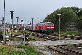 218 379 - 2023-07-19-084 Sylt Tinnum