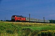 218 466 - 1988-65-029 Friedenweiler Rötenbach