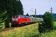218 466 - 1988-65-030 Friedenweiler Rötenbach