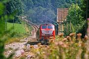 218 466 - 1988-65-036 Breitnau Posthalde