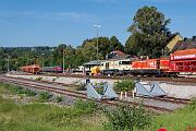 220 033 - 2024-09-01-001 Warstein 40 Jahre Eisenbahnfreunde Warstein mit Sonderfahrten. Hier startet die V200 zum Lohbusch.