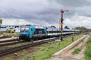 245 203 - 2023-07-19-097 Sylt Tinnum