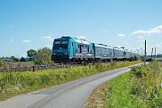 245 204 - 2025-08-18-034 Emmelsbüll Lehnshallig 245 204 nach Westerland
