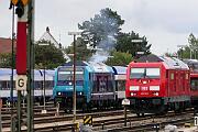 245 207 - 2023-07-19-095 Sylt Tinnum