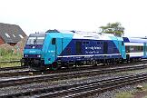 245 207 - 2023-07-19-144 Sylt Tinnum