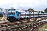 245 210 - 2023-07-19-252 Sylt Tinnum