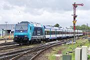 245 215 - 2023-07-19-060 Sylt Tinnum