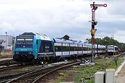 245 215 - 2023-07-19-250 Sylt Tinnum