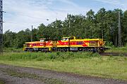 275 116 - 2022-05-23-053 Bochum Riemke