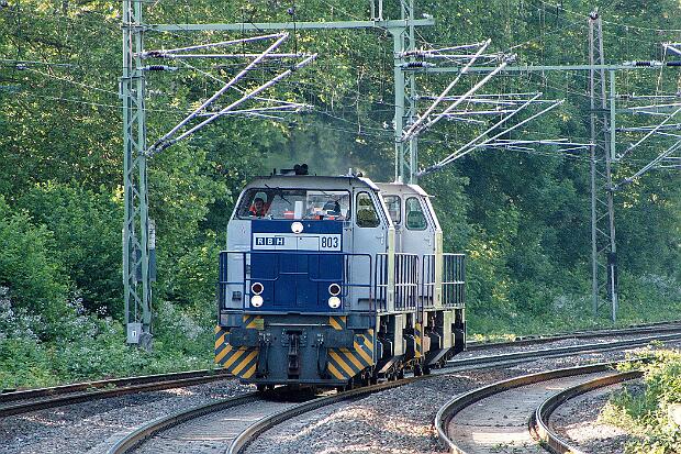 275 803