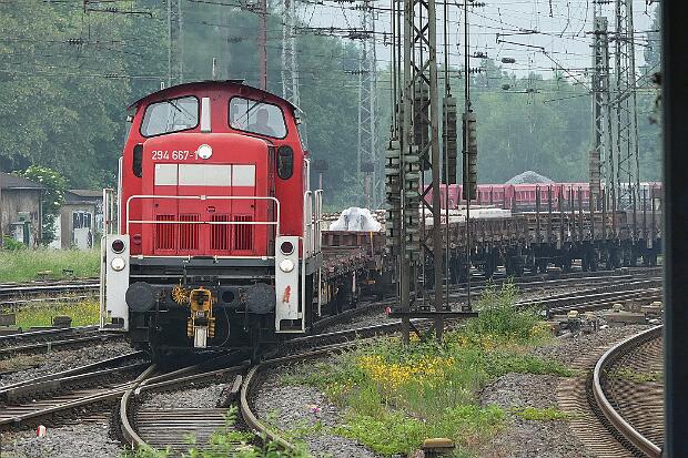 294 667
