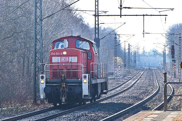 294 801