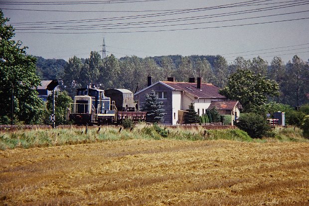 BR 365
