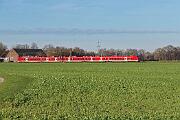 1440 228 - 2024-11-30-006 Krefeld Forstwald