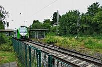 3429 005 - 2020-06-28-016 Witten Bommern