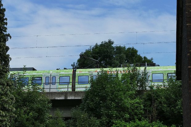 422 005