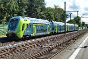 445 025 - 2025-08-20-005 Schleswig 445 025