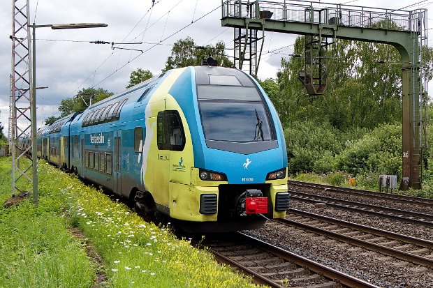 445 006