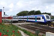 628 512 - 2023-07-19-218 Sylt Tinnum
