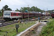 628 521 - 2023-07-19-158 Sylt Tinnum