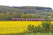 644 004 - 2021-05-08-070 Wickede Echthausen