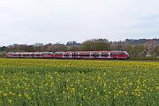 644 030 - 2021-04-24-118 Wickede Echthausen