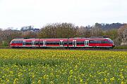 644 038 - 2021-04-24-113 Wickede Echthausen