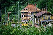 702 056 - 1988-65-038 Breitnau Hirschsprung