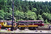 796 000 - 1989-72-071 Brilon Wald