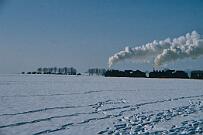 1986-20-042 Anröchte Uelde Sonderfahrt mit 38 1772 und 24 009 nach Warstein