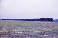 1988-50-020 Wadersloh Sonderzug mit 38 1772 und 64 289 nach Warstein.