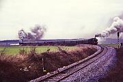 1988-50-031 Anröchte Uelde Sonderzug mit 38 1772 und 64 289 nach Warstein.