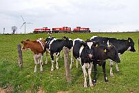 2021-05-06-074 Warstein Belecke Fototour zur WLE: Nachmittags kam nach 3 Stunden Leerlauf ein Lz aus Lippstadt. WLE 72, 62 & auf dem Weg nach Warstein.