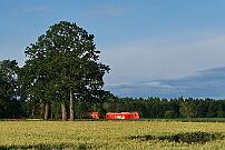 WLE 23 - 2021-07-06-004 Anröchte