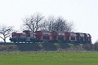 WLE 56 - 2021-03-31-146