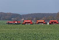 WLE 56 - 2021-03-31-153