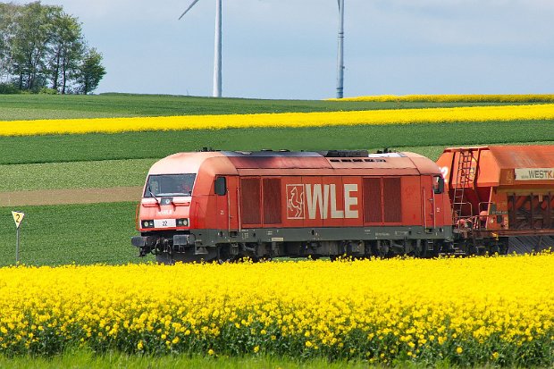 WLE 22